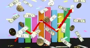 The Influence of Big Names on the Crypto Industry, Memes and NFTs