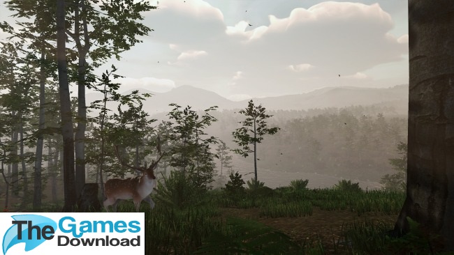 Virtual-Hunter-PC-Download