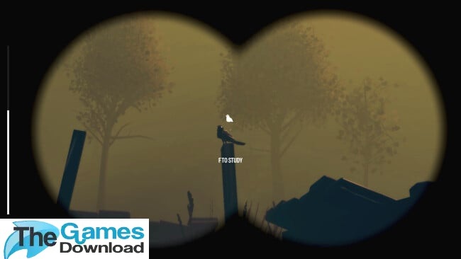 Birds-Watching-Game-Download